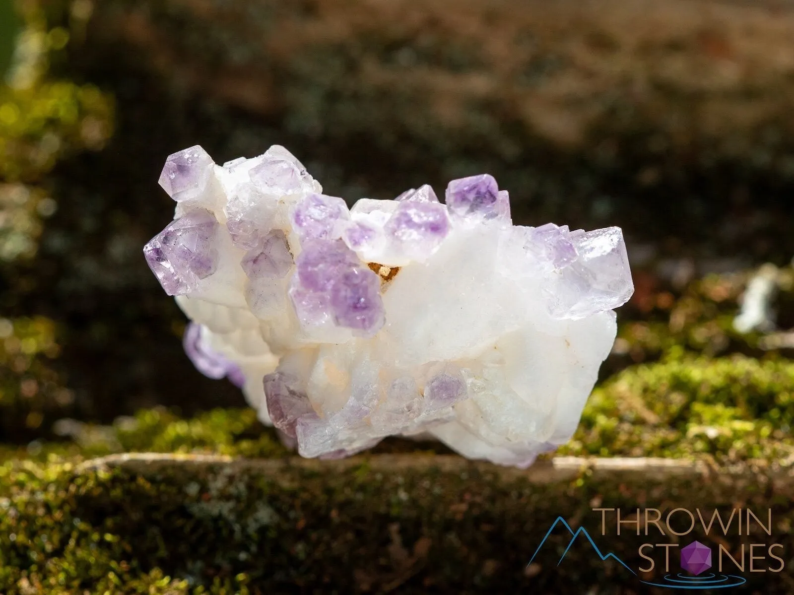 AMETHYST Raw Crystal Cluster - Birthstone, Unique Gift, Home Decor, Boho Decor, 39946