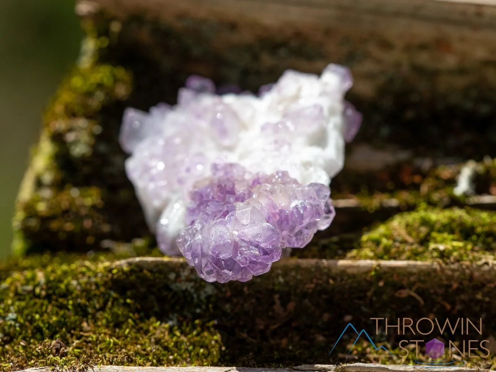 AMETHYST Raw Crystal Cluster - Birthstone, Unique Gift, Home Decor, Boho Decor, 39946