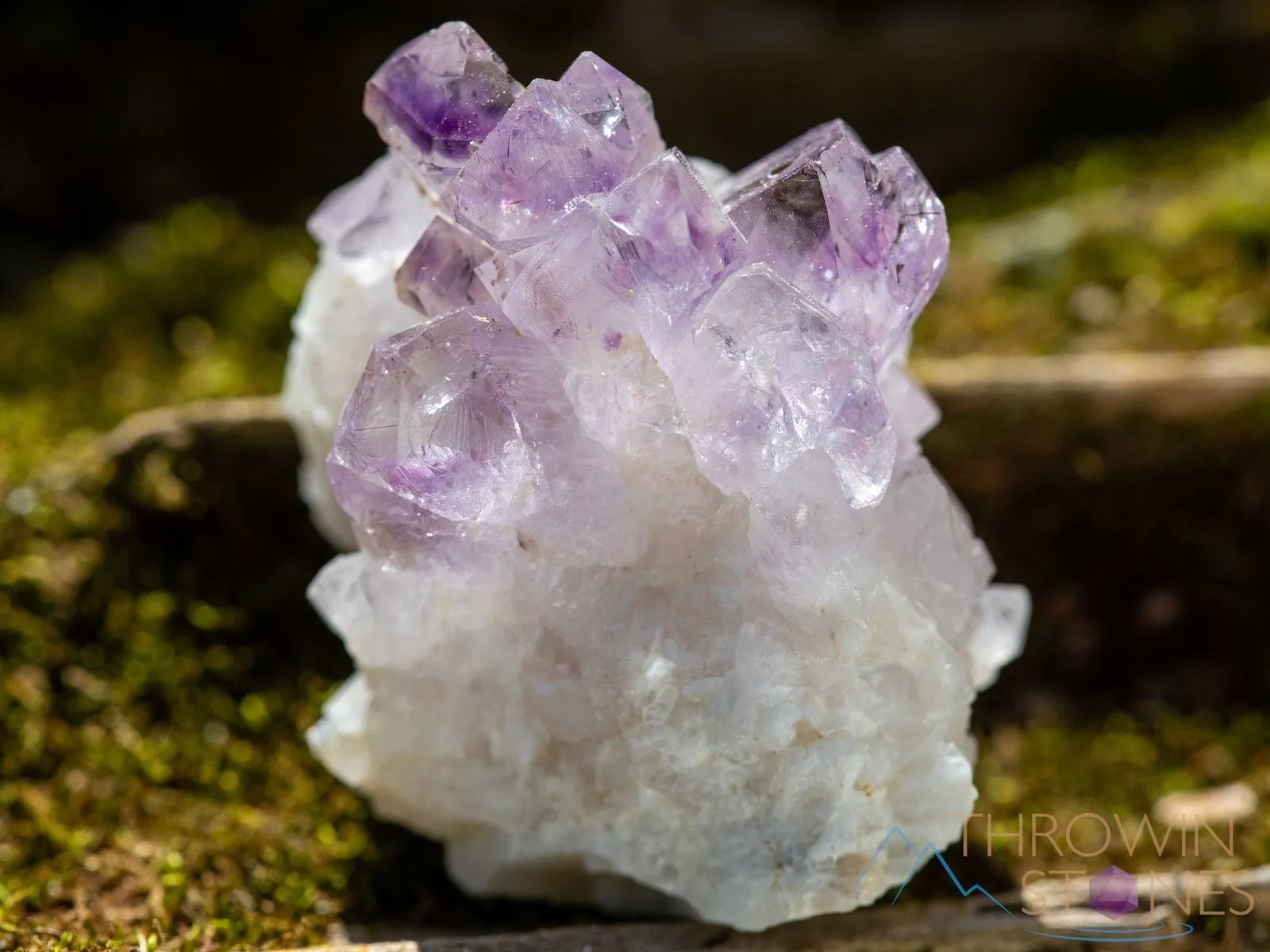 AMETHYST Raw Crystal Cluster - Birthstone, Unique Gift, Home Decor, Boho Decor, 39956