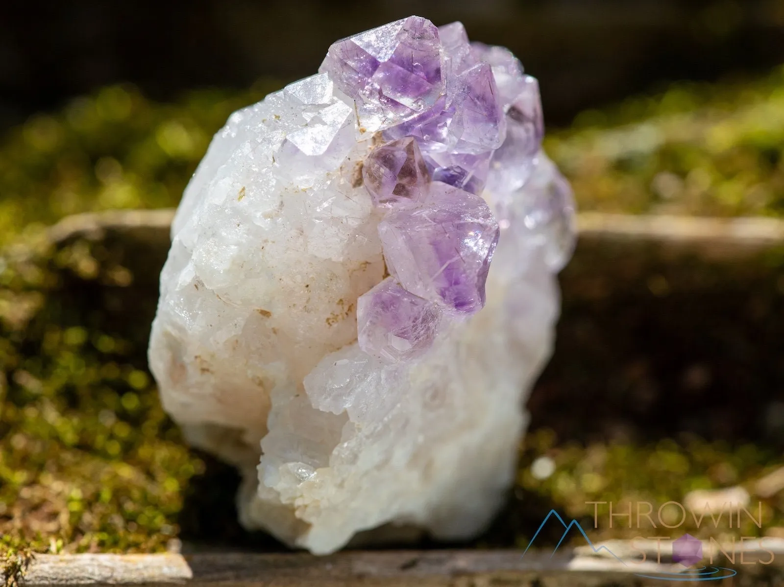 AMETHYST Raw Crystal Cluster - Birthstone, Unique Gift, Home Decor, Boho Decor, 39956