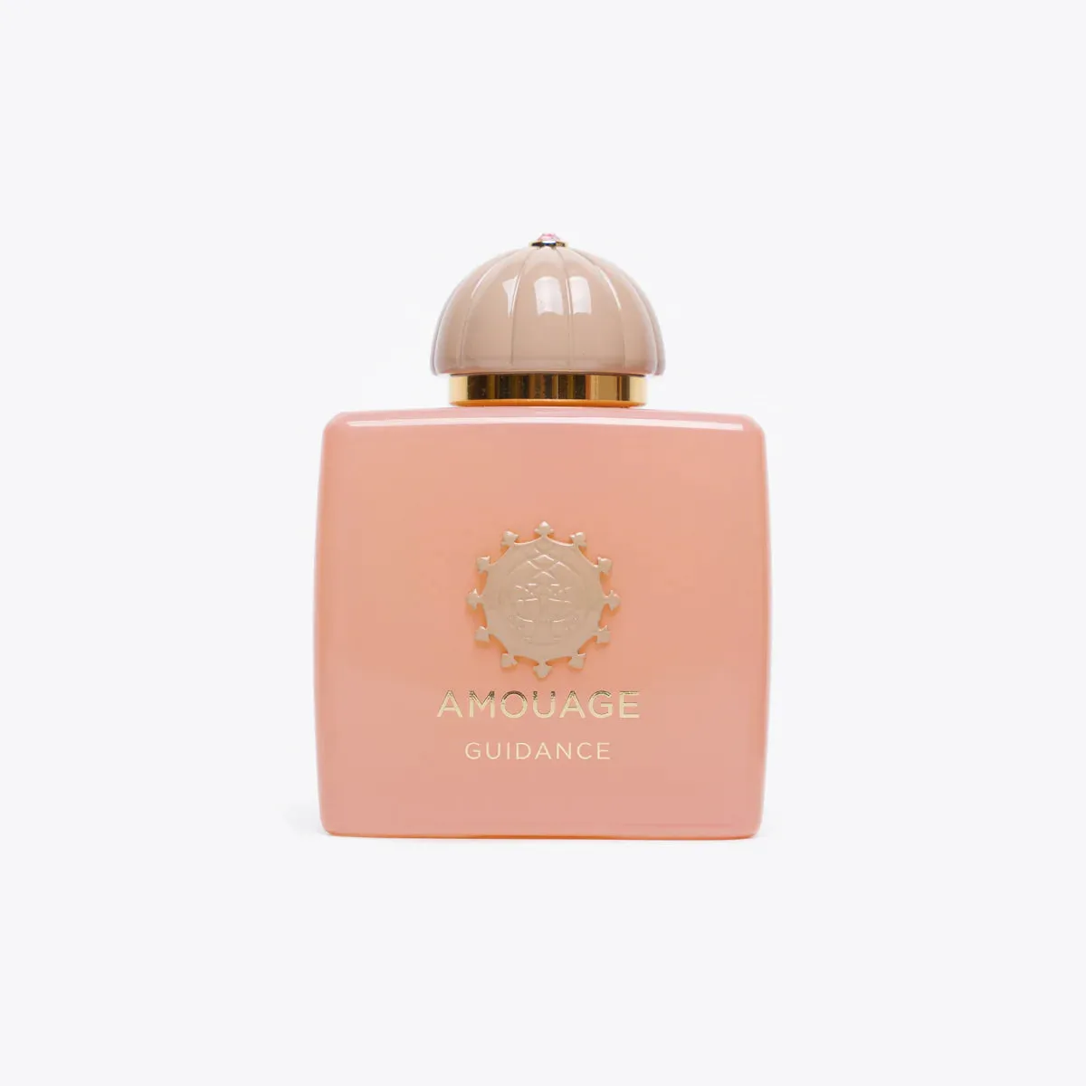 AMOUAGE GUIDANCE EDP 100ML