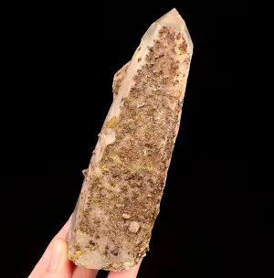 Raw WITCHES FINGER QUARTZ Crystal - Raw Rocks and Minerals, Home Decor, Unique Gift, 53318