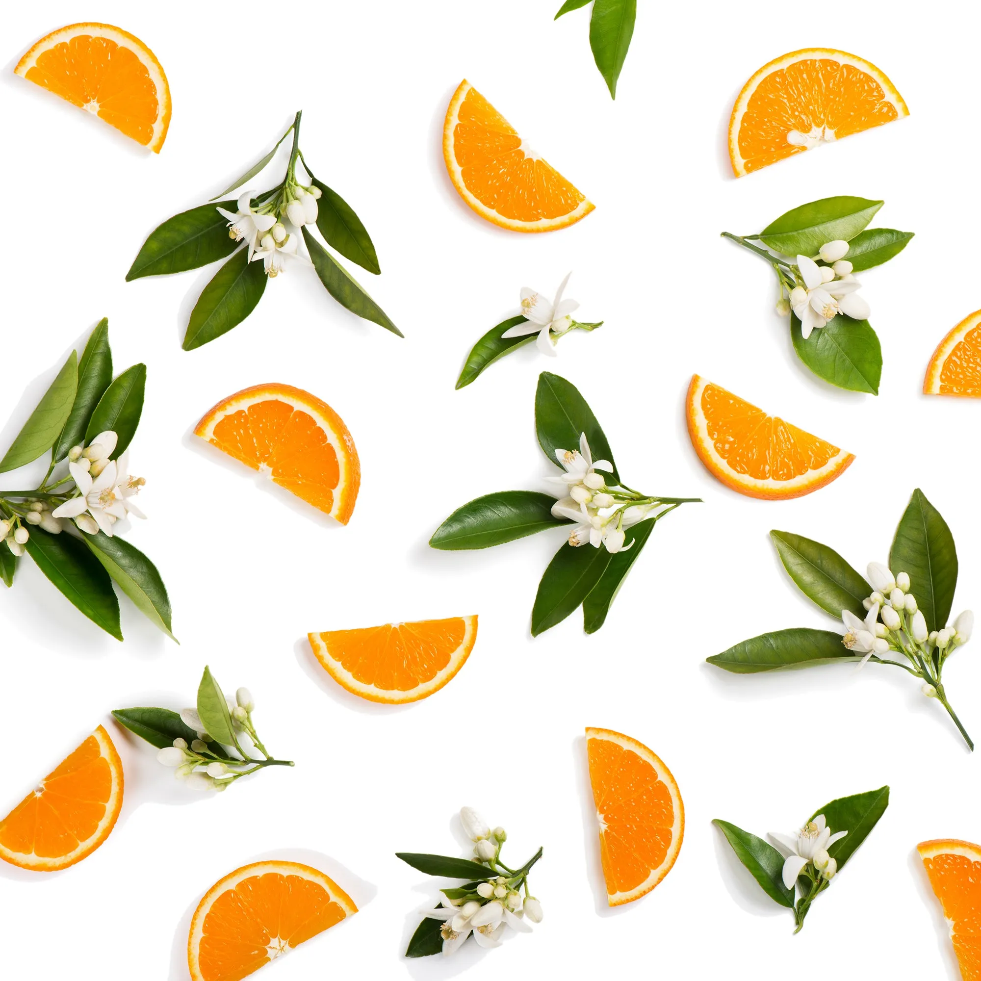 Sun Dial™ Fresh Orange Blossom Perfume by Curious Apothecary.